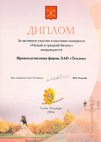 Малый и средний бизнес - 2004